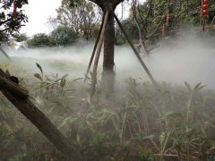 <strong>园林人工造雾设计方案设计</strong>