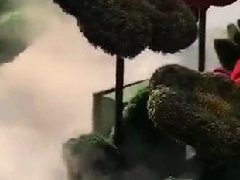 <b>山西灵石县森林公园景观造雾工程</b>