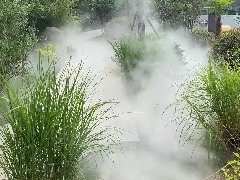 <b>水池喷雾</b>